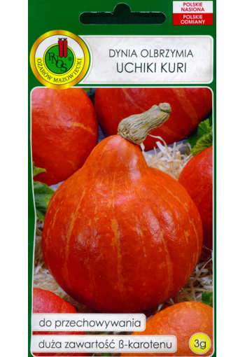 Japanese pumpkin "Uchiki Kuri"